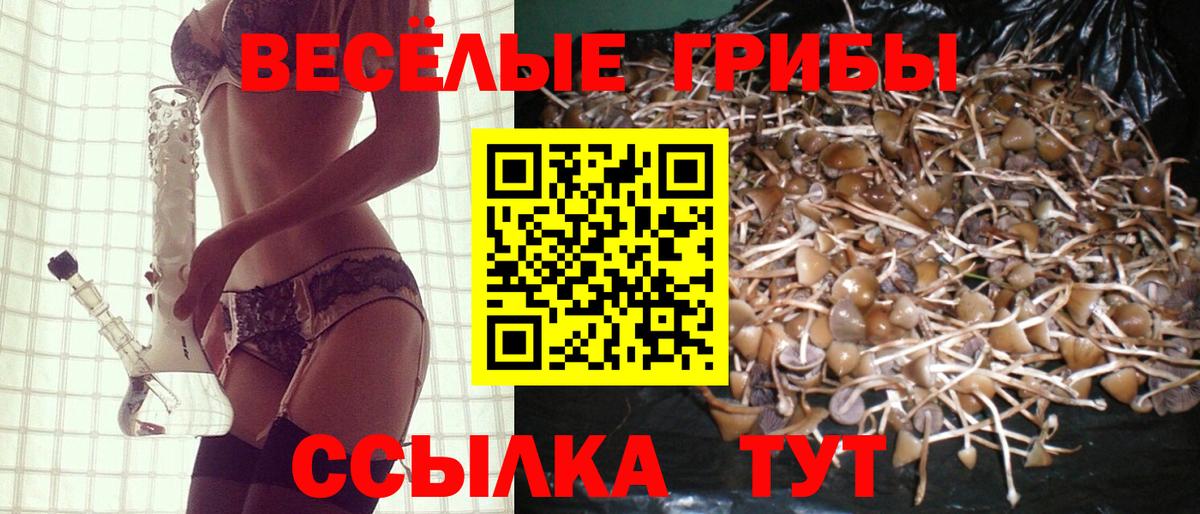 Галлюциногенные грибы MAGIC MUSHROOMS  Галлюциногенные грибы прущие грибы  Вход с VPN  Зима 